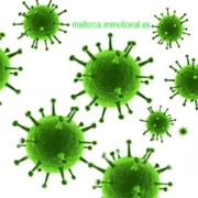corona virus mallorca blog