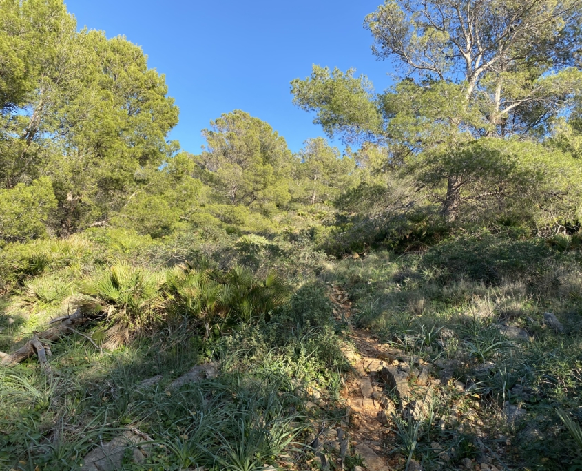Mancha bei Sant Elm, Mallorca Umrundung