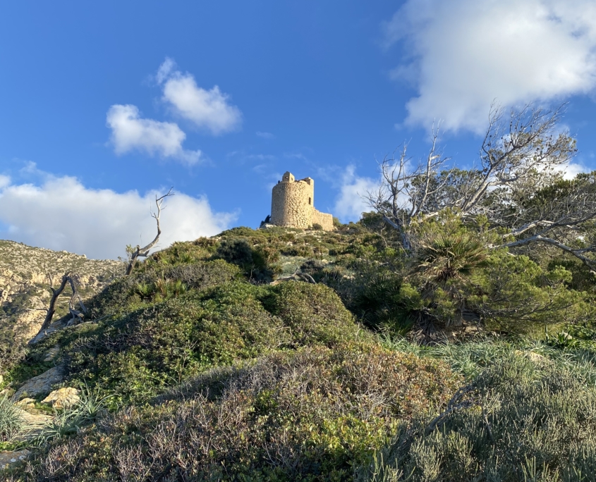 Torre de Cala en Basset (Mallorca)