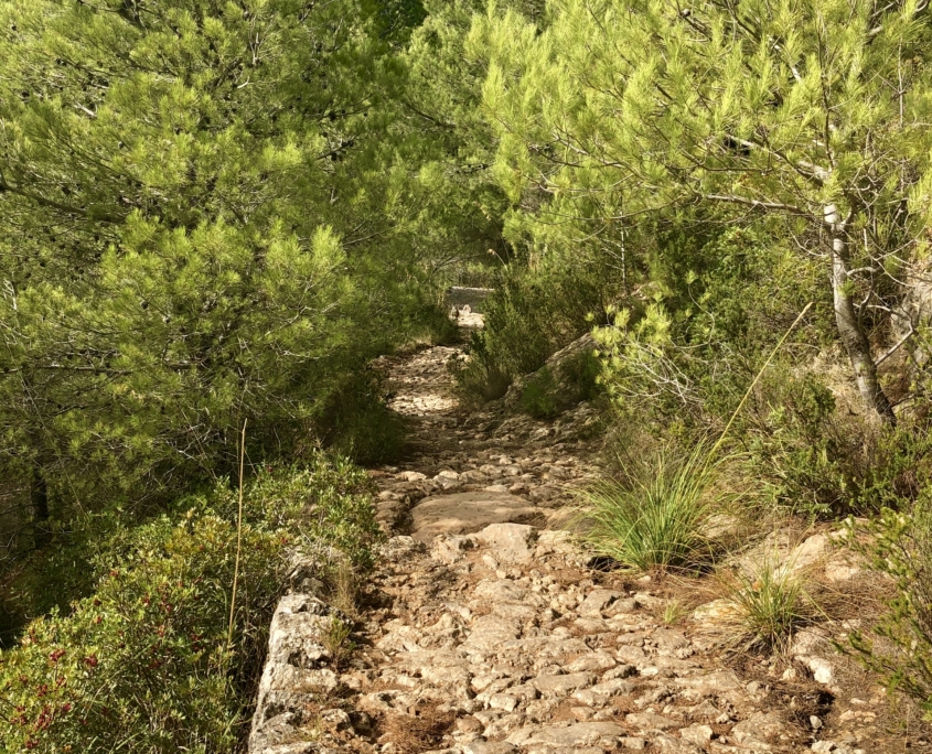 Mallorca Umrundung - Trail zur Cala Deiá