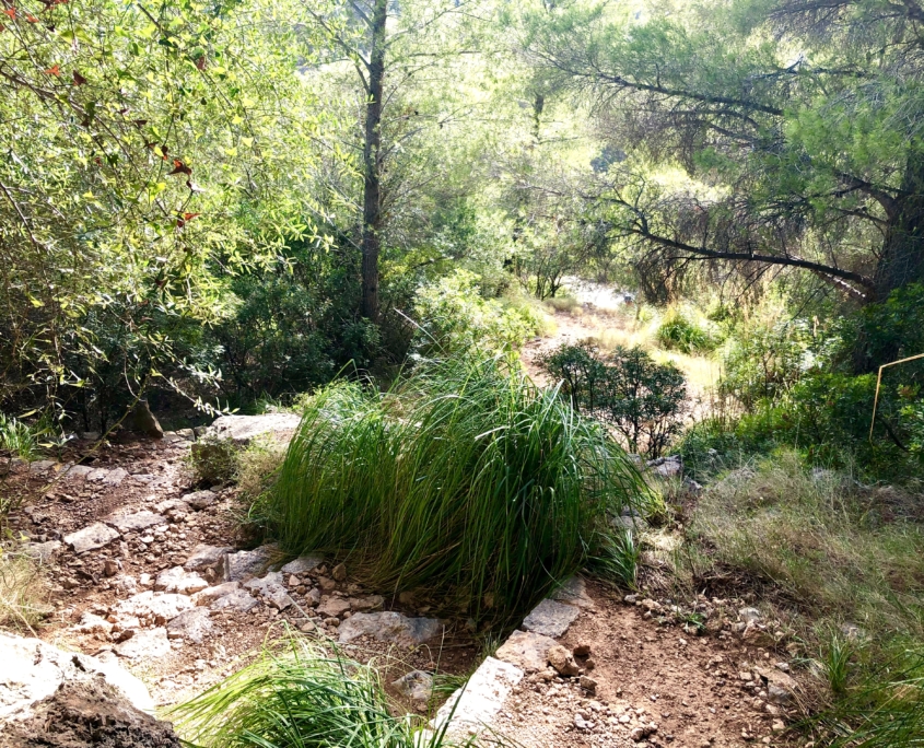 Mallorca Umrundung - Trail zur Cala Deiá