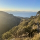 Blick auf die Bahia dew Alcudia