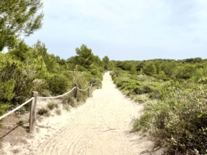 Parc Natural Albufera Mallorca